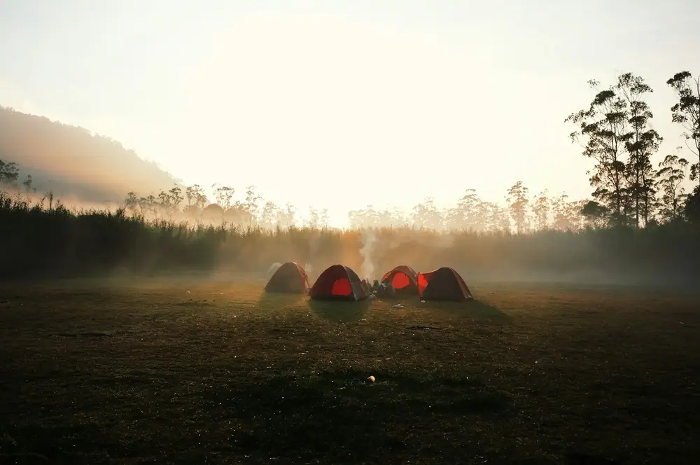 Several tents spaced apart in a grassy field at misty sunrise