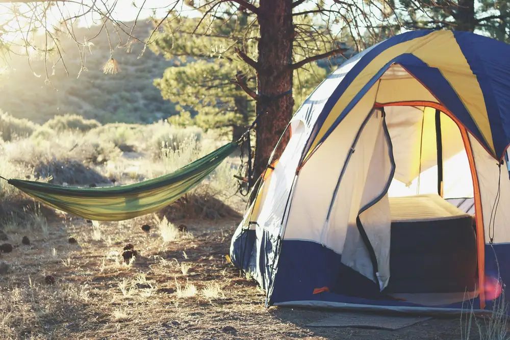 Dome tent and hammock set up on a sunny campsite among pine trees